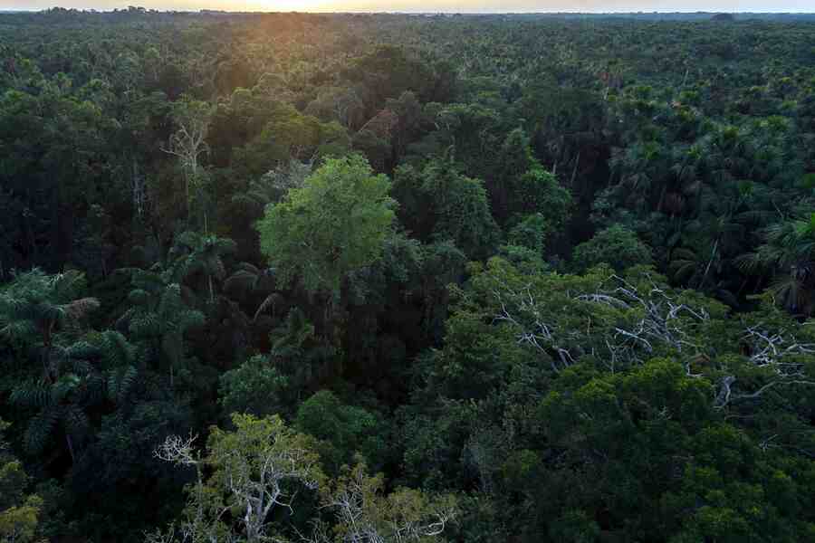 Selva amazónica