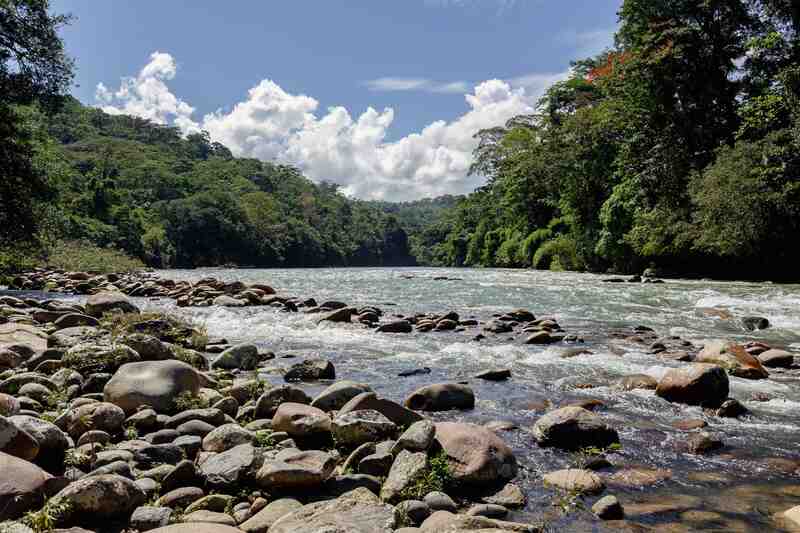 Río rocoso que atraviesa la selva tropical ecuatoriana