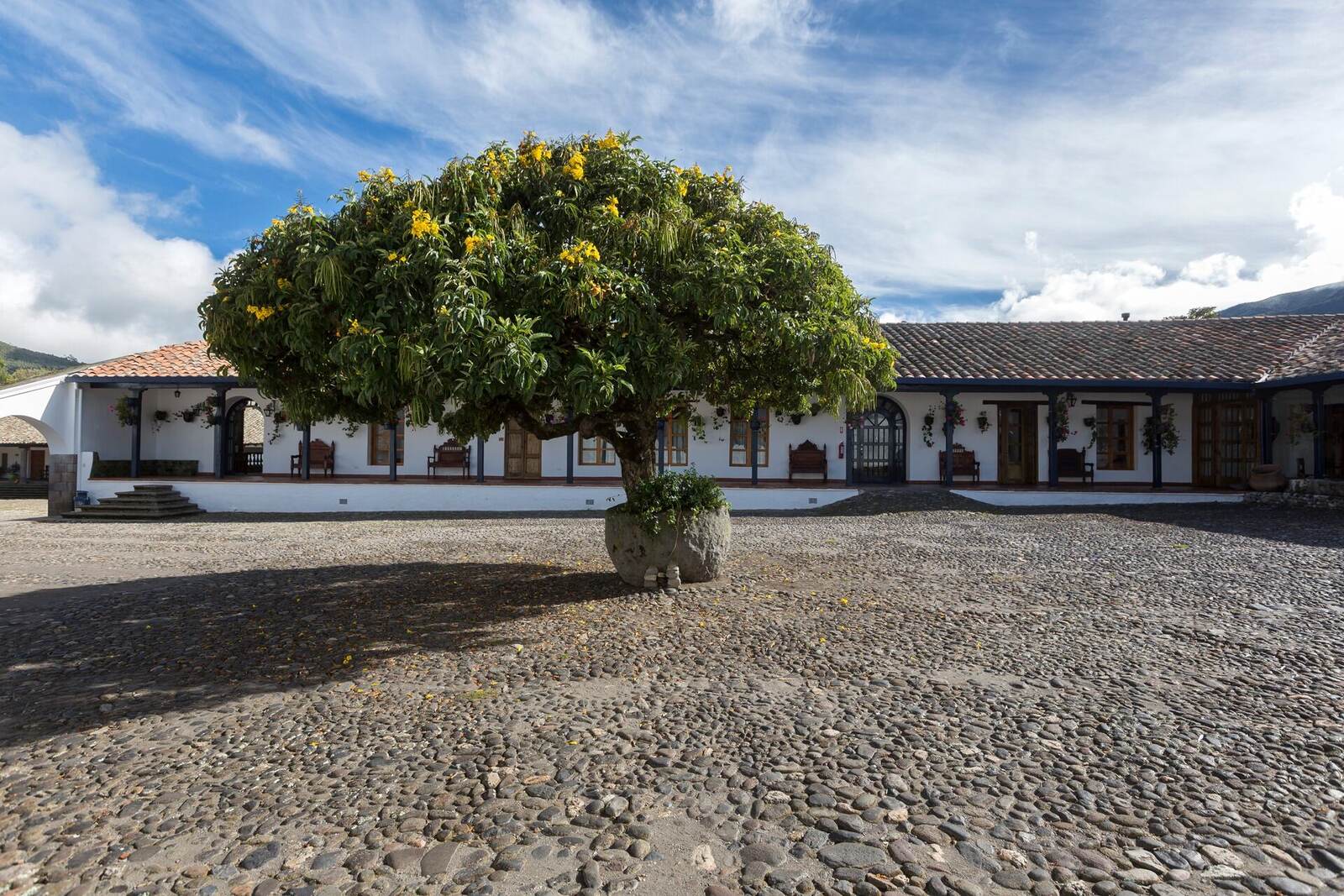 Flowering tree in a historic Andean hacienda courtyard