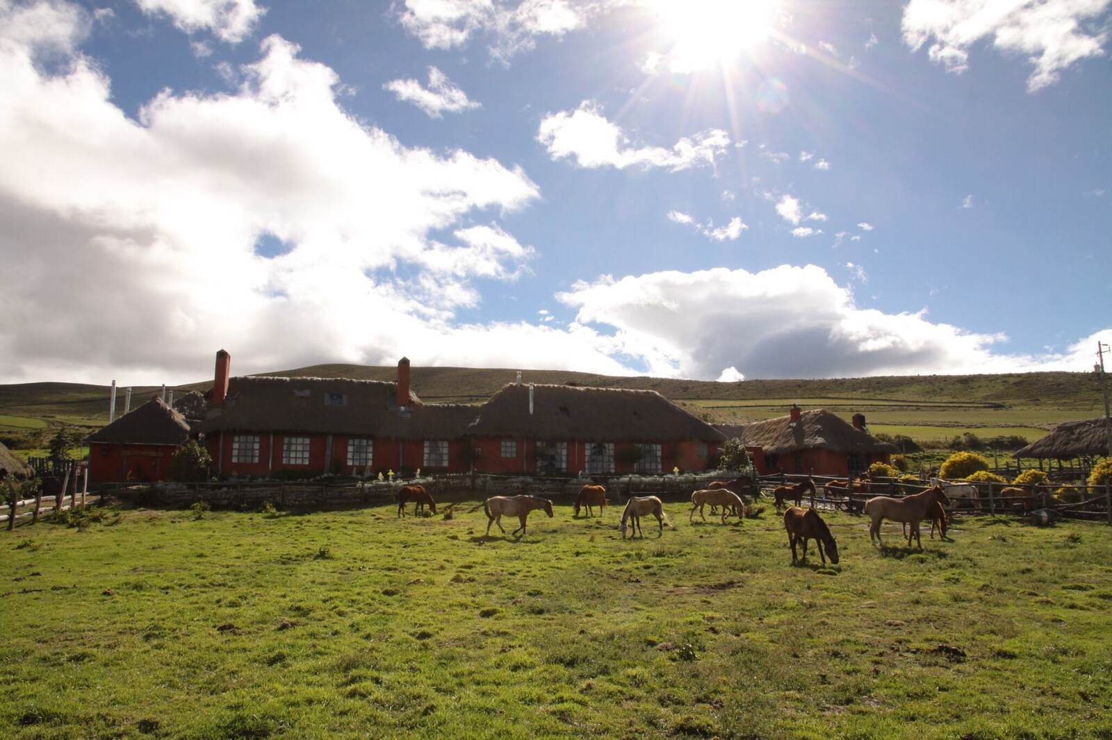 Horses grazing beside a traditional high-altitude Andean ranch