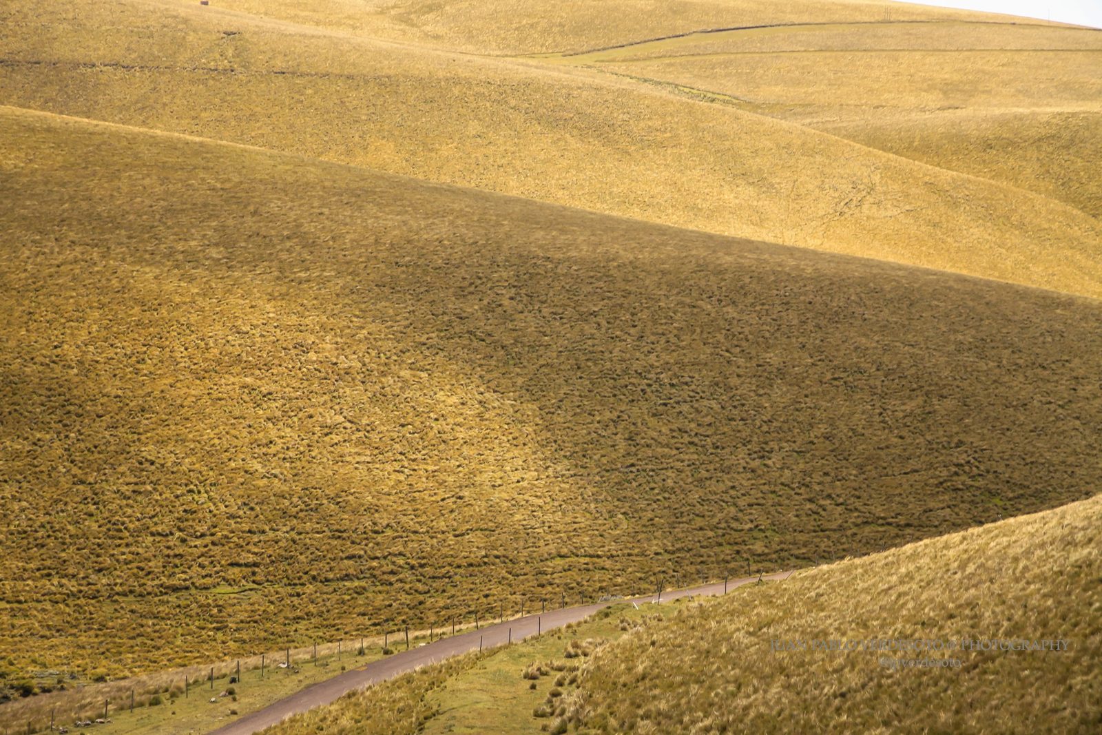 Golden rolling paramo hills and a winding road in the Antisana highlands