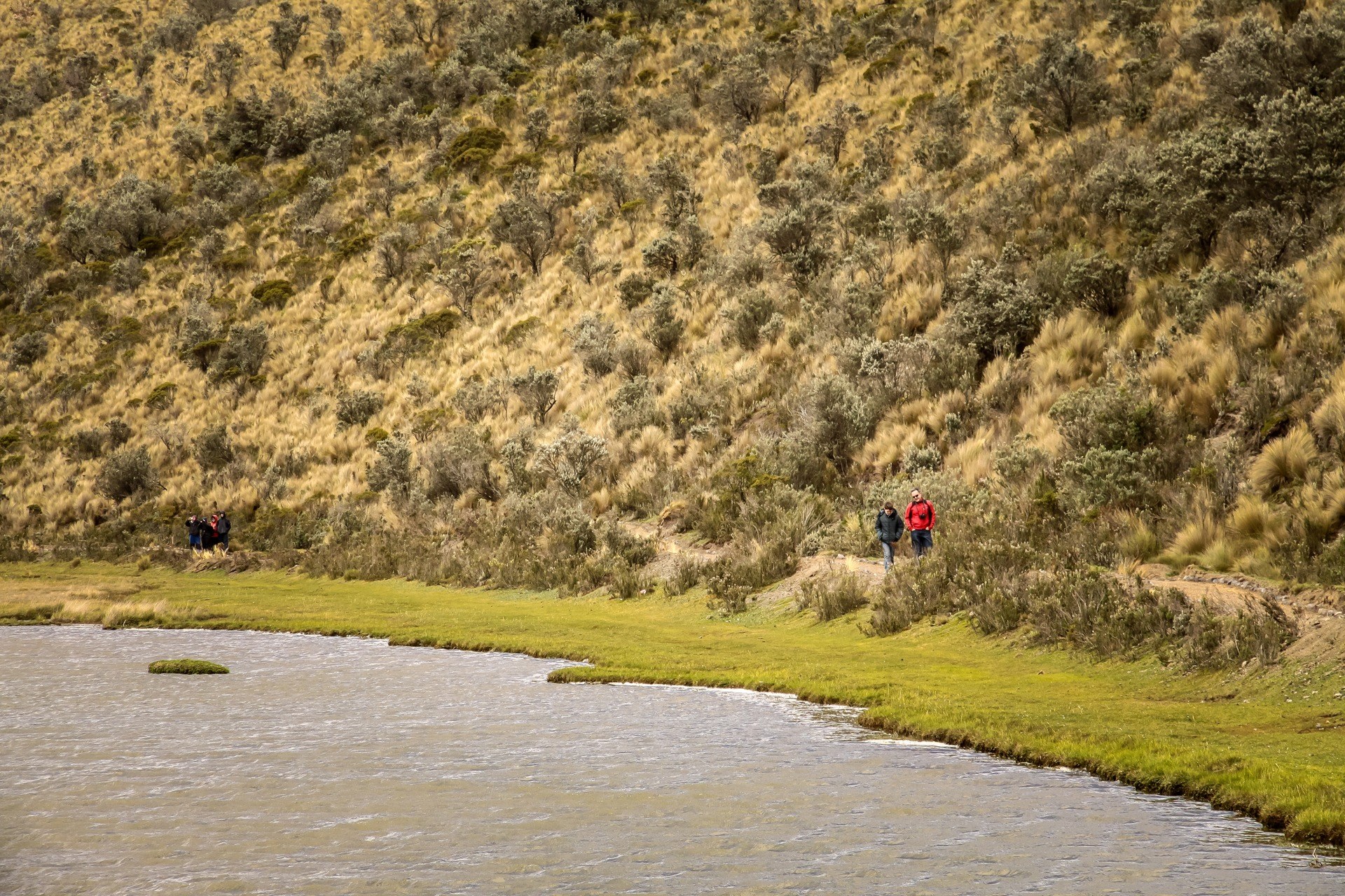 Travelers walking beside a high-altitude wetland surrounded by paramo vegetation in Cotopaxi National Park