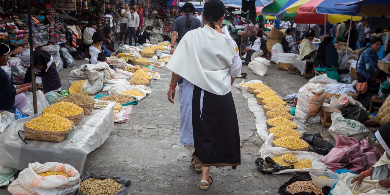 Explore Indigenous Markets