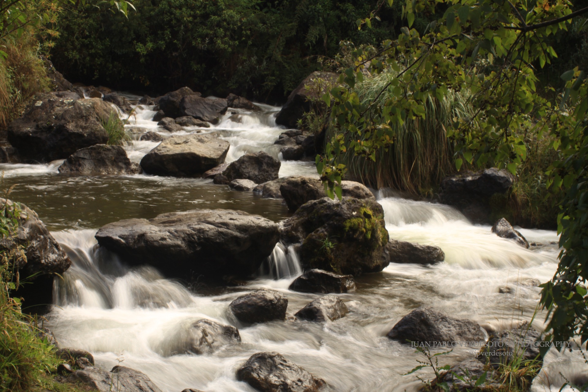 Rocky Andean river flowing through green vegetation near the Papallacta nature trails