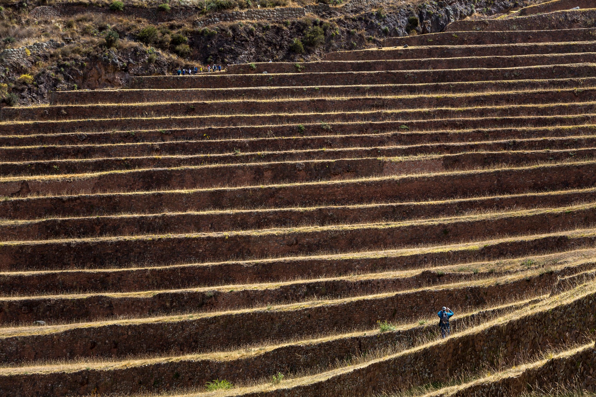 Antiguas terrazas agrícolas en los Andes peruanos
