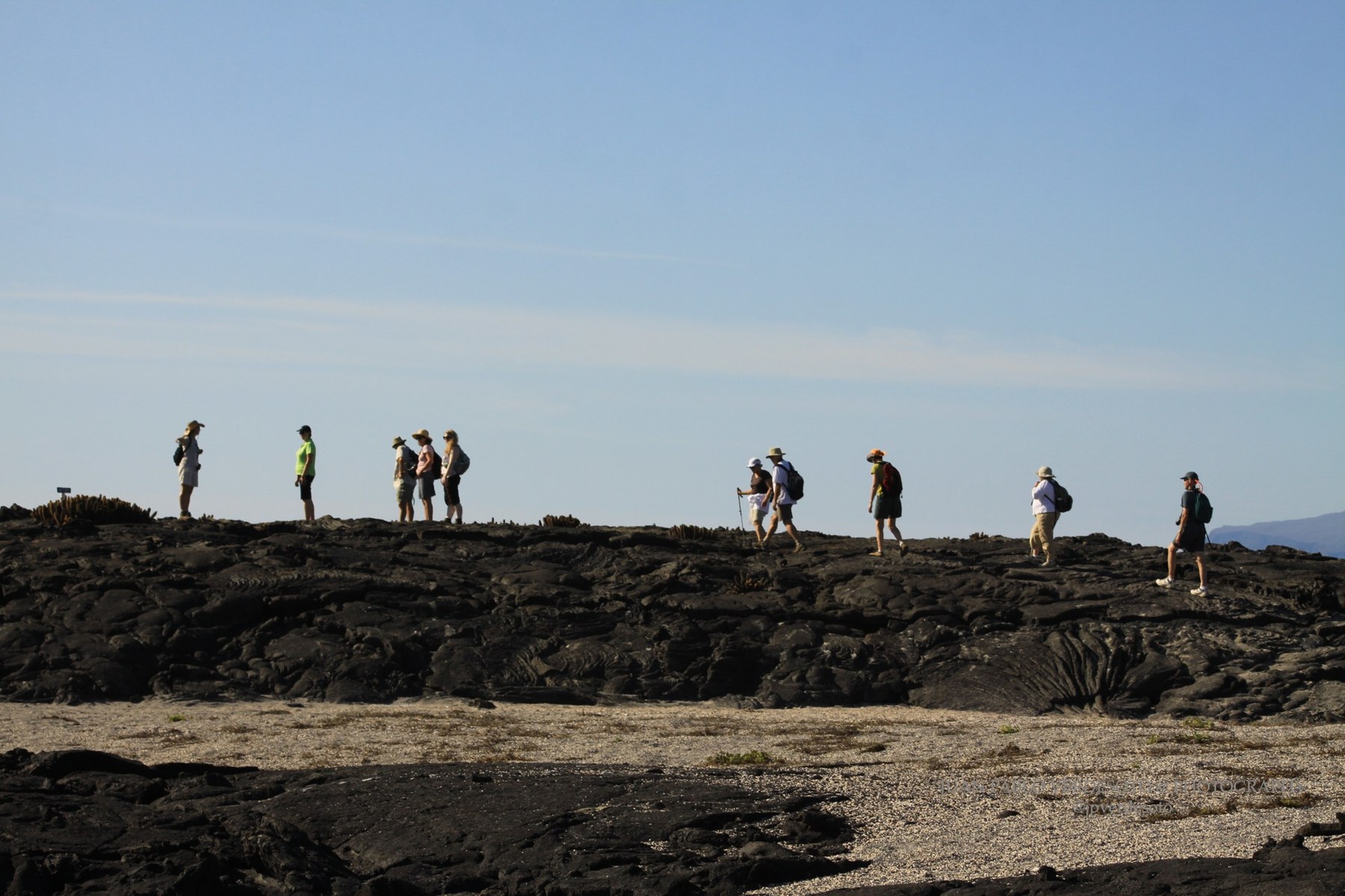 Travelers walking across Galapagos lava fields