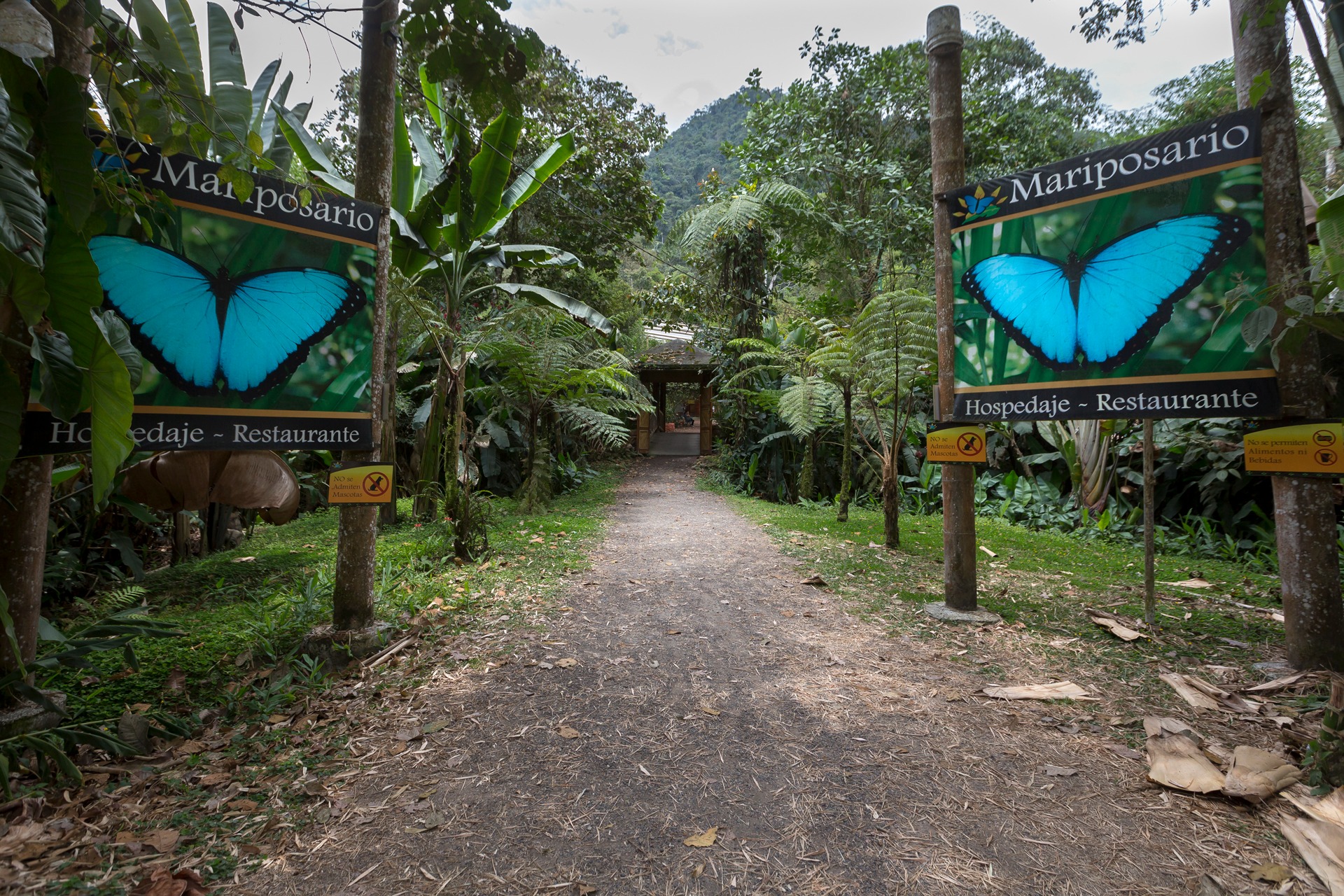 Entrance to a butterfly sanctuary surrounded by dense tropical vegetation in Mindo Ecuador