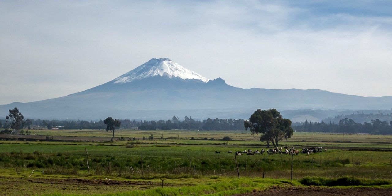 Avenue of the Volcanoes