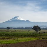 El volcán Cotopaxi, con su cima nevada, se eleva sobre los verdes campos agrícolas de los Andes ecuatorianos