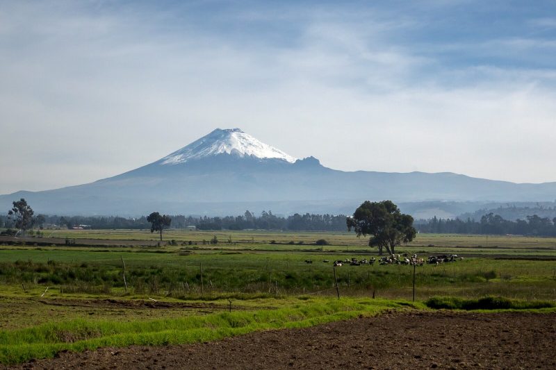 Avenida de los Volcanes